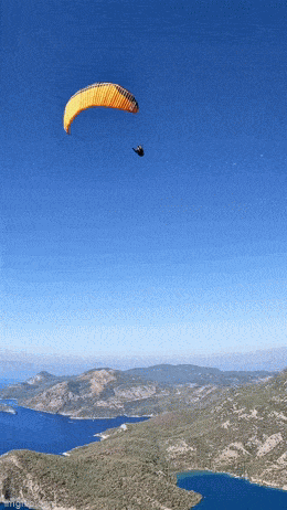 1687970701_1.gif
