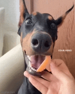 1687970701_22.gif