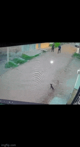 1687970738_10.gif