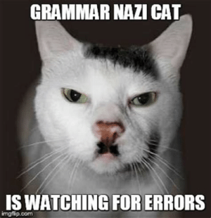 1688032979441.png