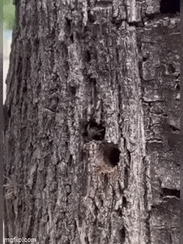 1688059915_6.gif