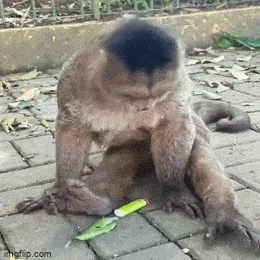 1688399558_6.gif