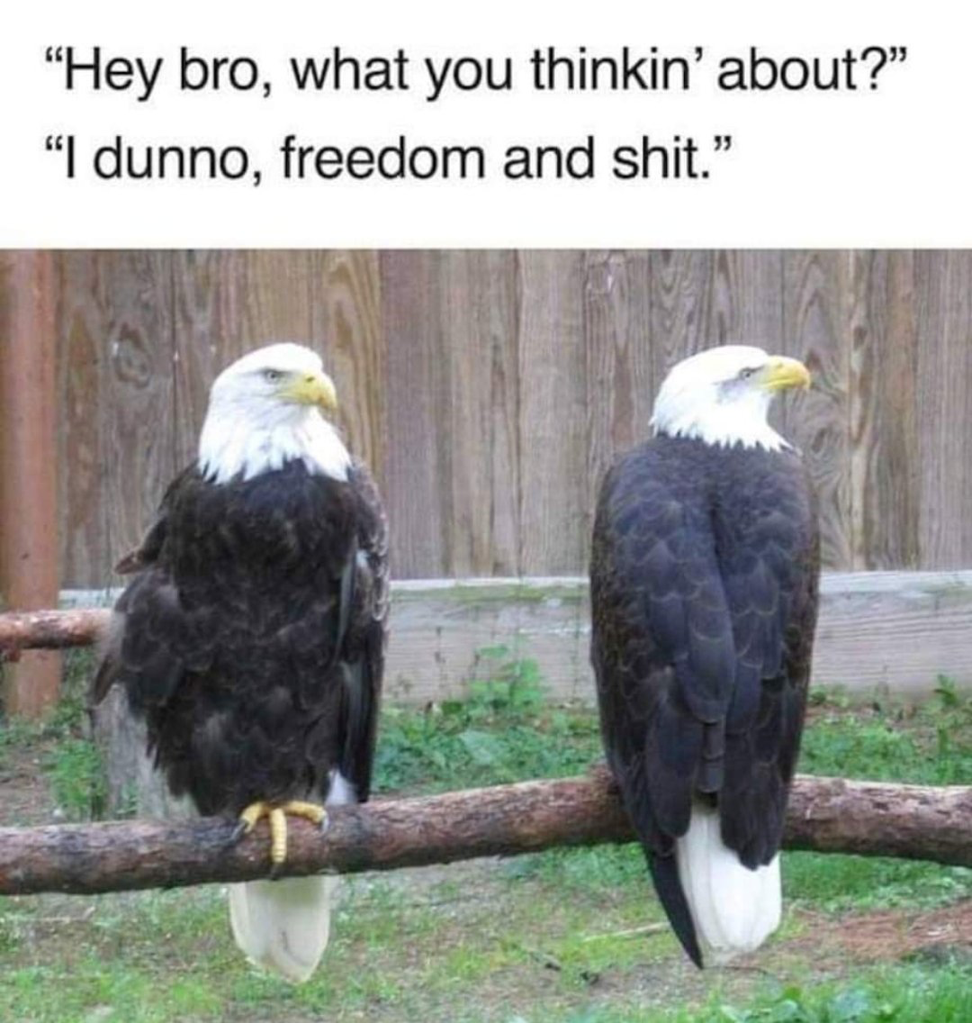 1688534866467.png