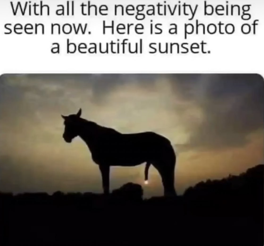 1688588249316.png