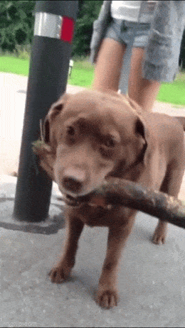 1688936550_6.gif