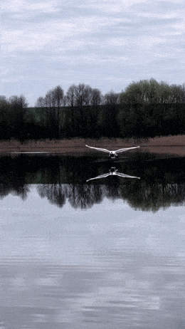 1688936574_18.gif