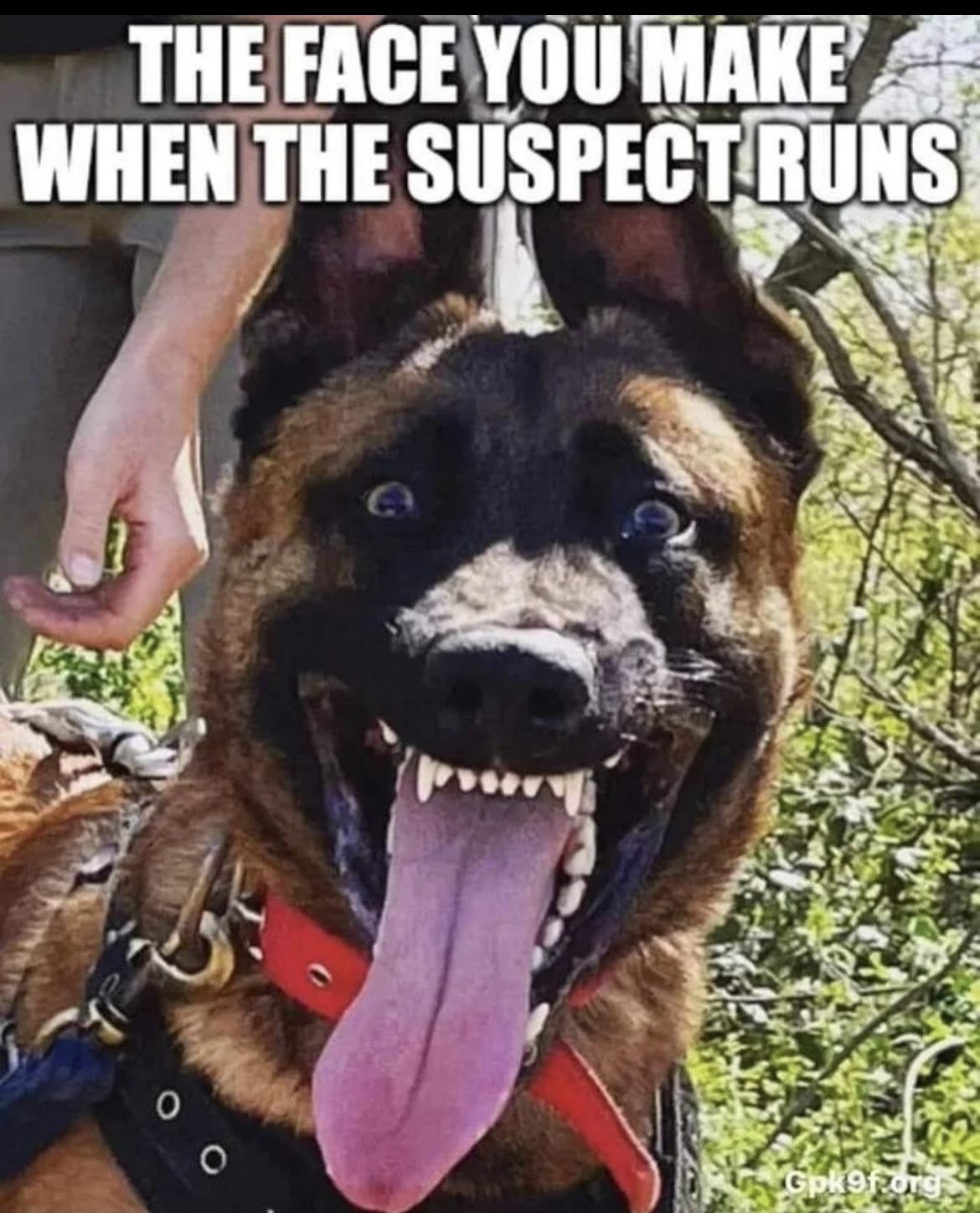 1689006283859.png