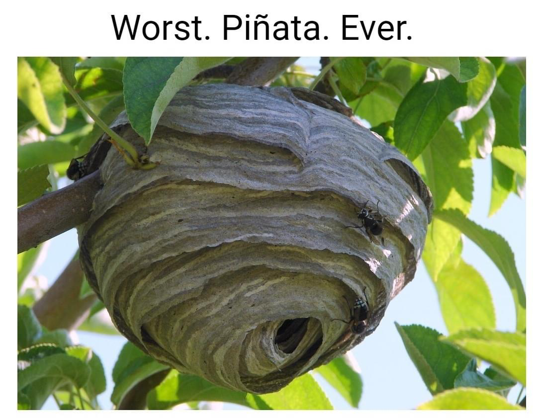 1689378481285.png