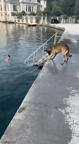 1689576035_20.gif
