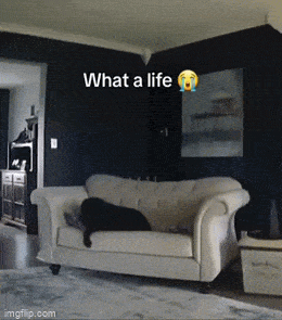 1689576094_12.gif