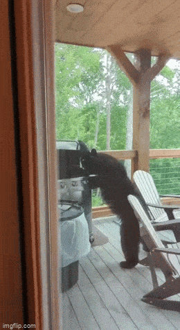 1689663095_16.gif