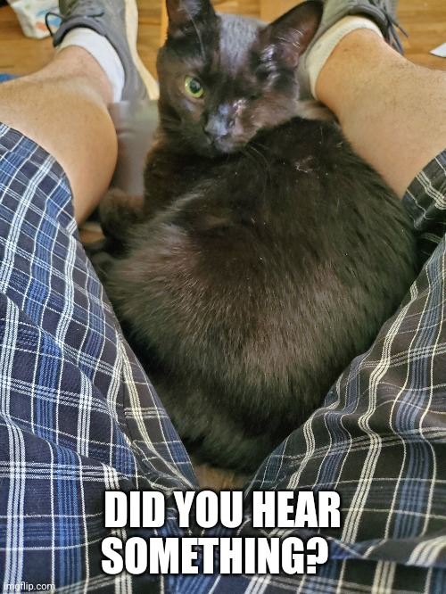 1689785392987.png