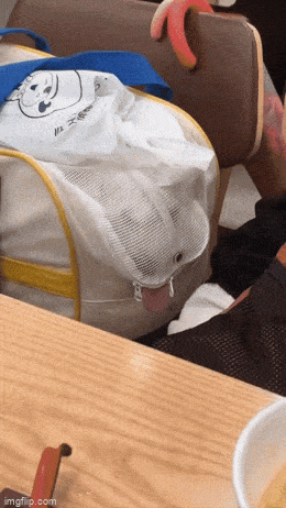 1690102407_12.gif