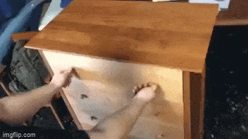 1690102425_7.gif