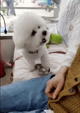 1690281665_10.gif