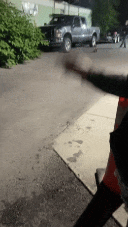 1690281679_8.gif