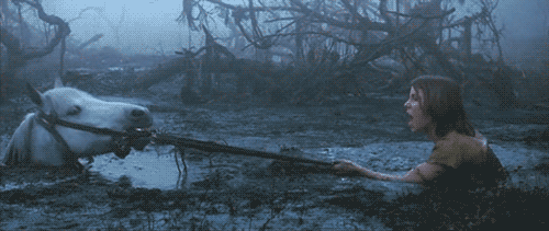 1690455695092.gif