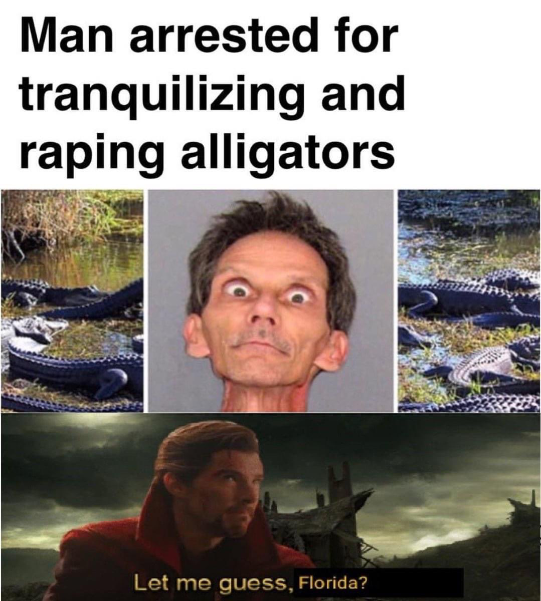 1690644499980.png