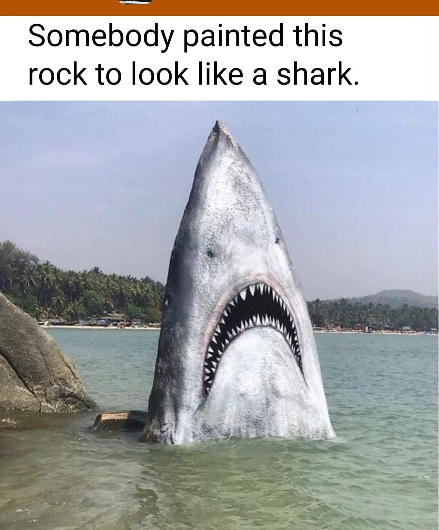 1691196177481.png