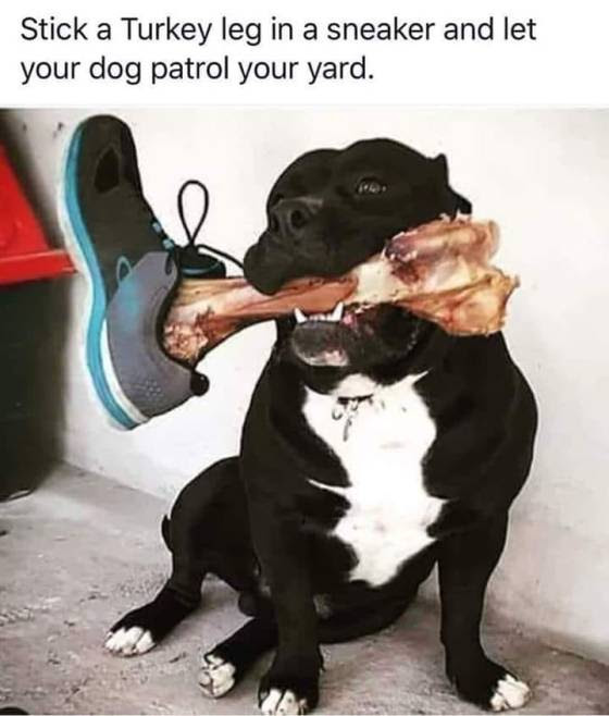 1691255155898.jpeg