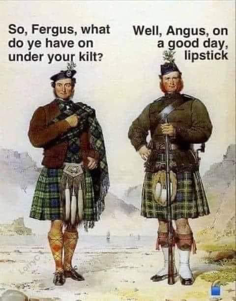 1691335181205.png