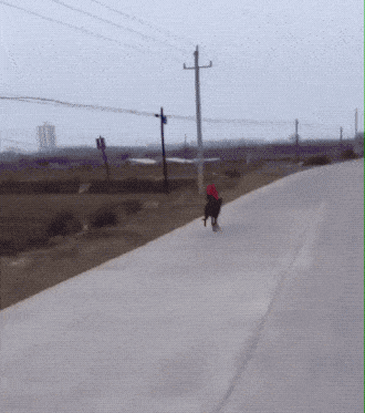 1691340062_22.gif