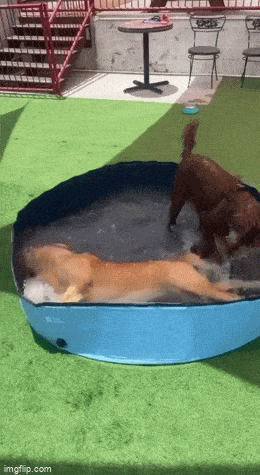 1691428726_4.gif