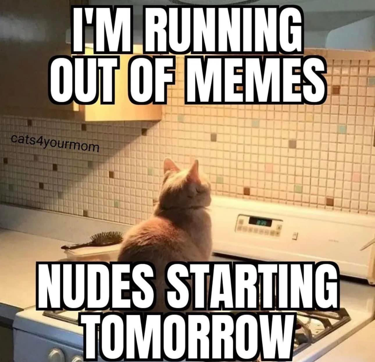 1691464968494.png