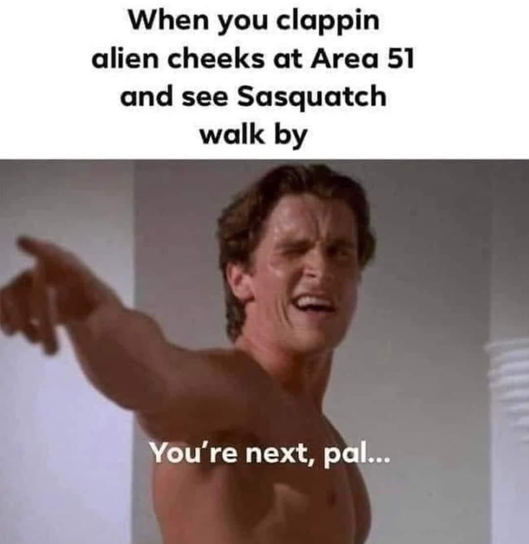 1691504974665.png