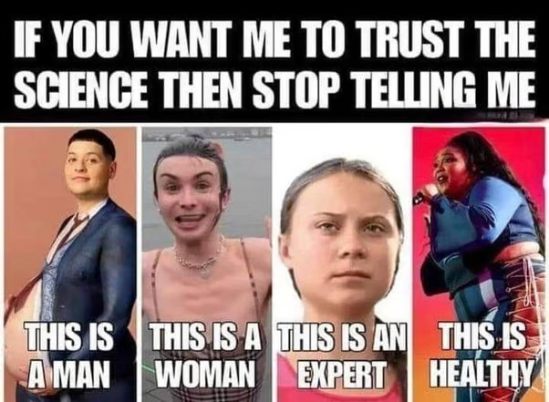 1691815217591.png