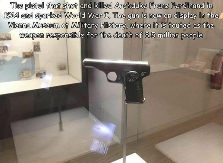 1691816133812.png