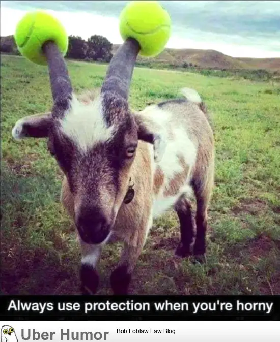 1691839576057.png