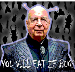 1691862294866.png