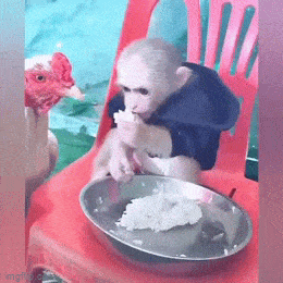 1691949808_2.gif