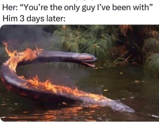1692013771264.png