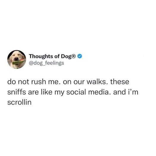 1692206727349.png