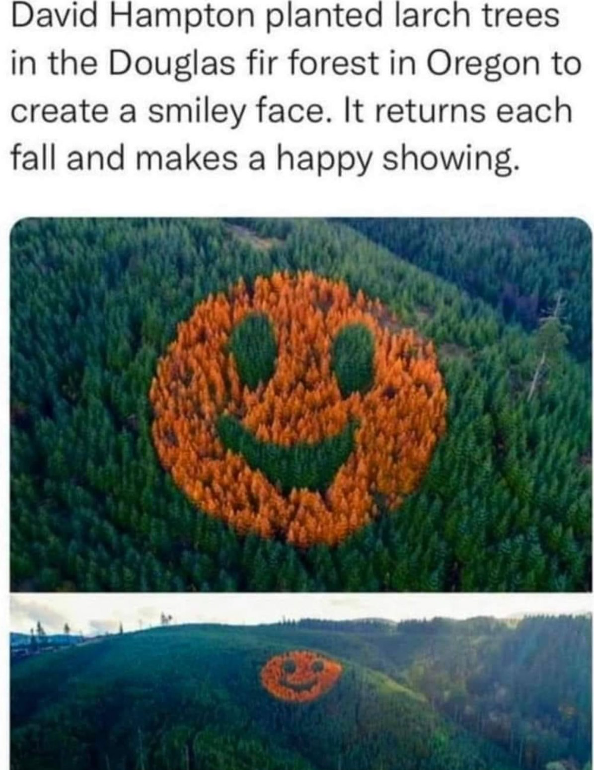 1692207665311.png
