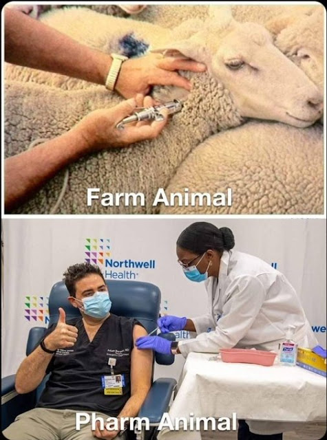 1692303995419.png