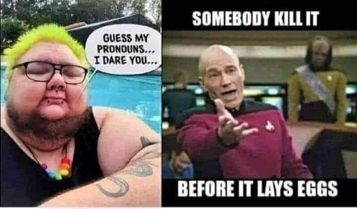 1692366173749.png