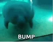 1692378843324.gif
