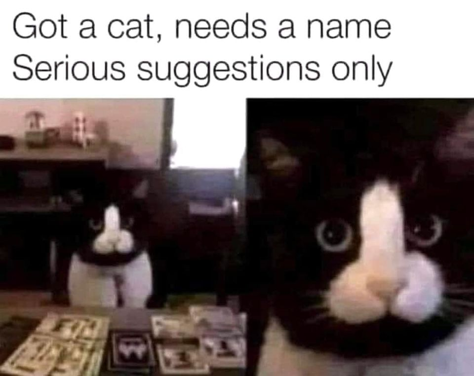 1692654325039.png