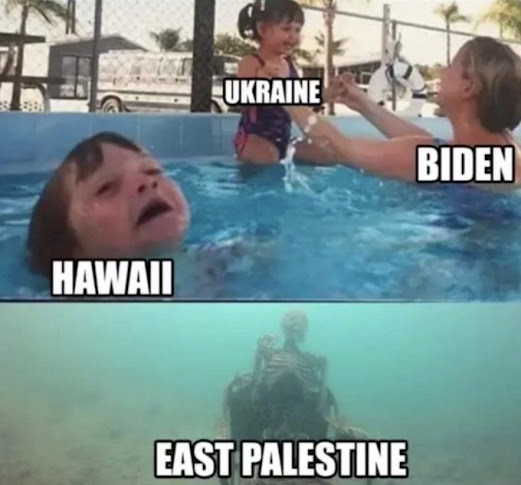 1692768156505.png