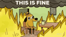 1692811037522.png