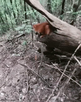 1692912749_2.gif