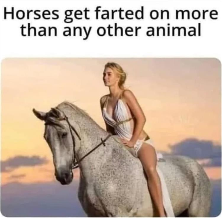 1692944814510.png