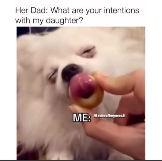 1693007146036.png
