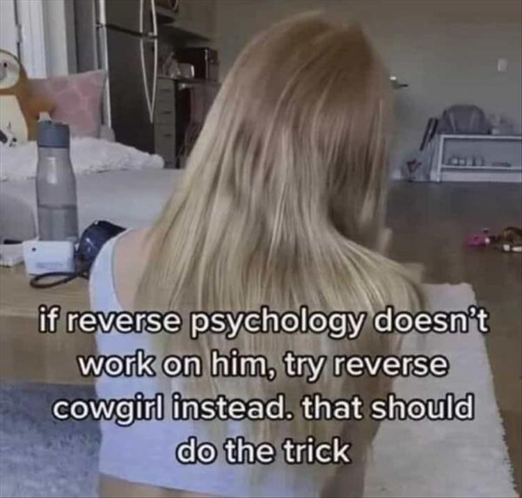 1693133515941.png