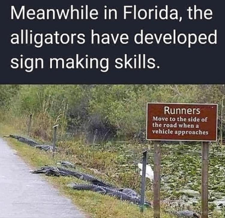 1693202442180.png