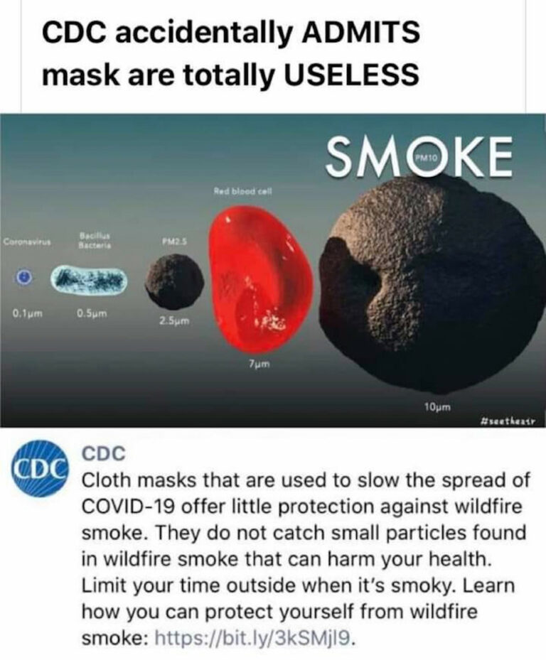 1693271481098.png
