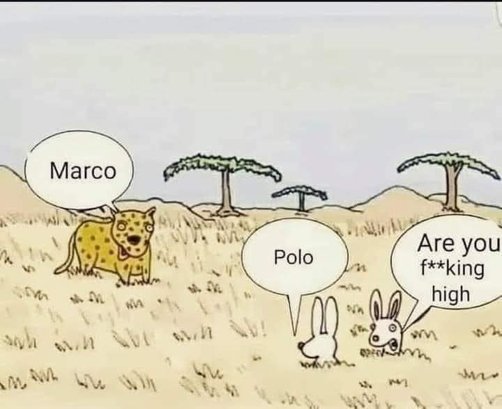 1693285140471.png